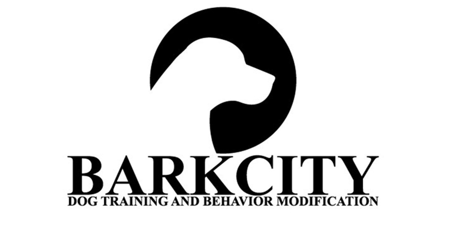 BarkCity Dog training