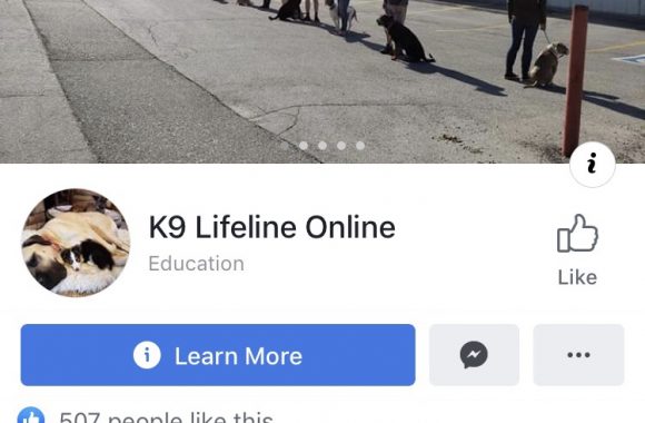 K9 Lifeline is our role model ,Join the group and get online education and benefits for you and your pet