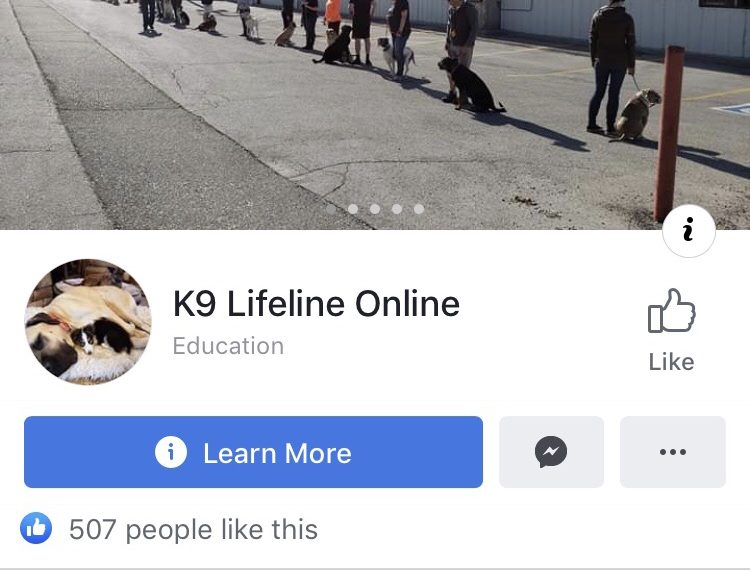 K9 Lifeline is our role model ,Join the group and get online education and benefits for you and your pet