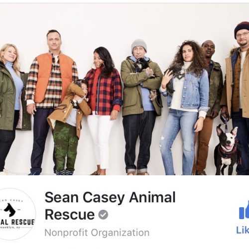 Sean Casey Animal Rescue