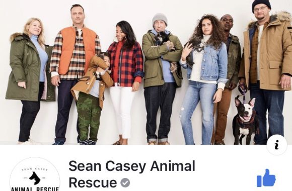 Sean Casey Animal Rescue