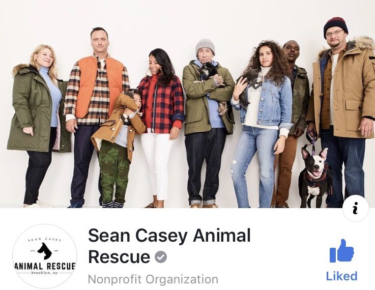 Sean Casey Animal Rescue